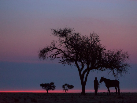 Namibia Horse Safari